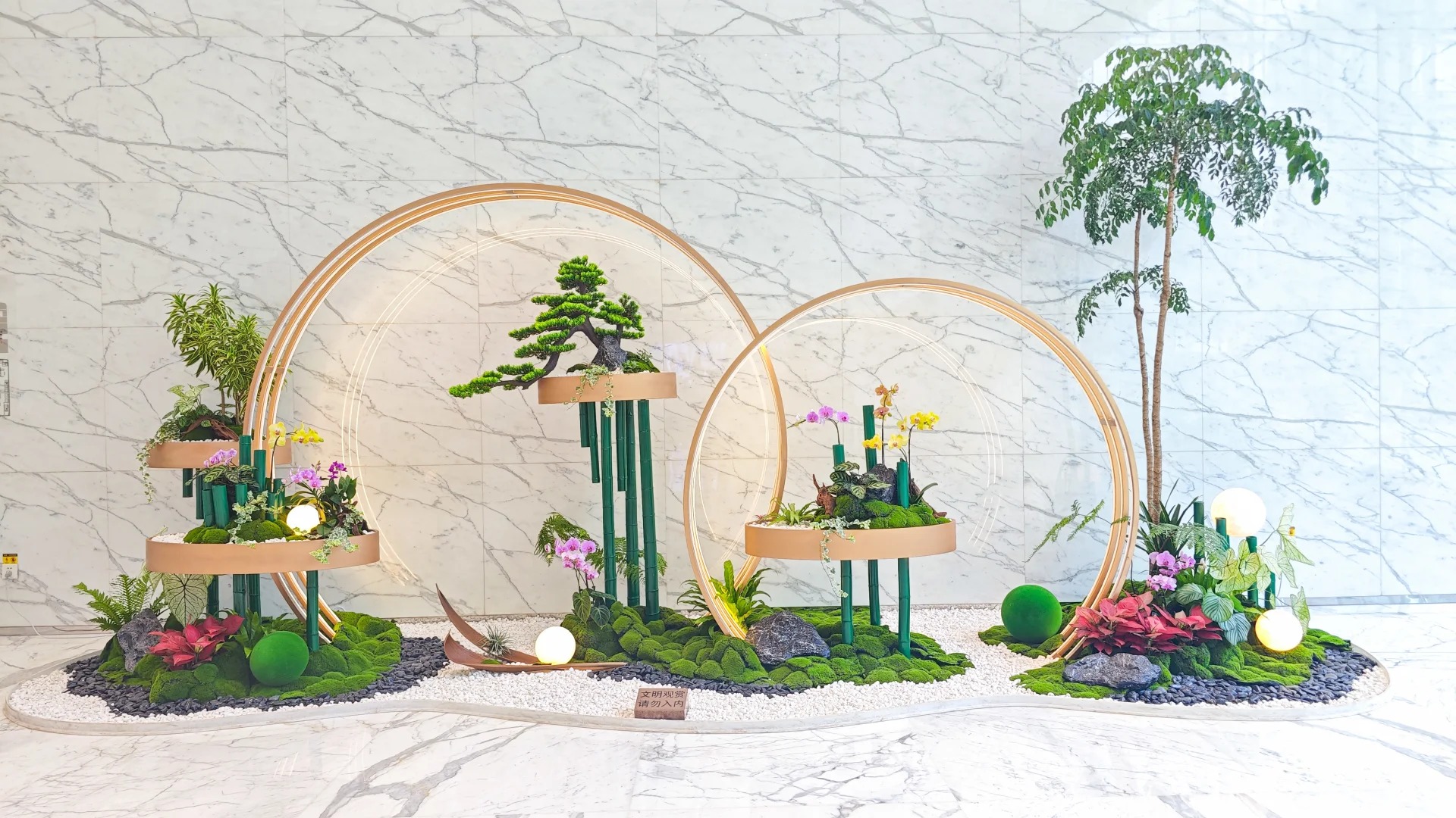 了解镇海植物租赁价格,开启绿色租赁之旅!