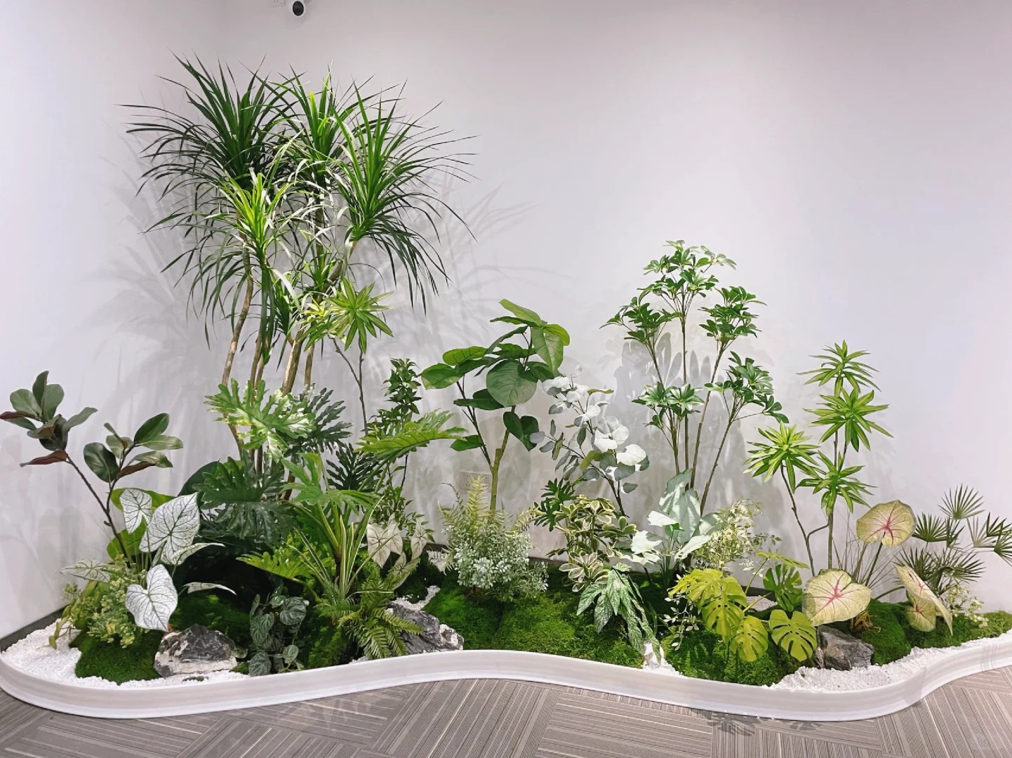 了解余姚花卉出租价格，开启省钱之道！